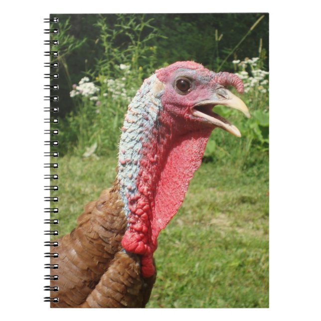 Bourbon Red Turkey Notebook (Front)
