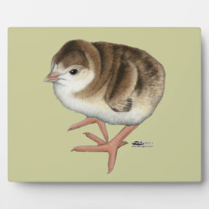 Bourbon Red Turkey Poult Plaque