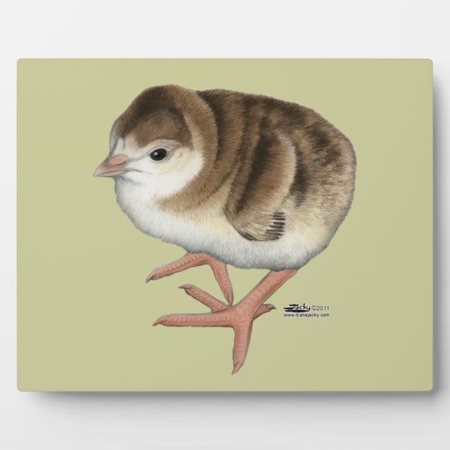 Bourbon Red Turkey Poult Plaque (Front)