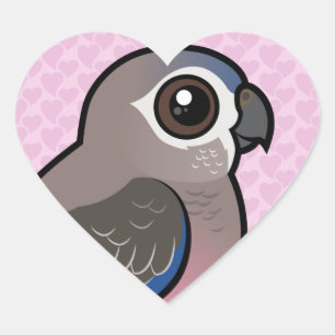 Bourke's Parrot Heart Sticker