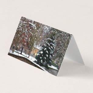 Bourton on the Water Christmas Tree Cotswolds