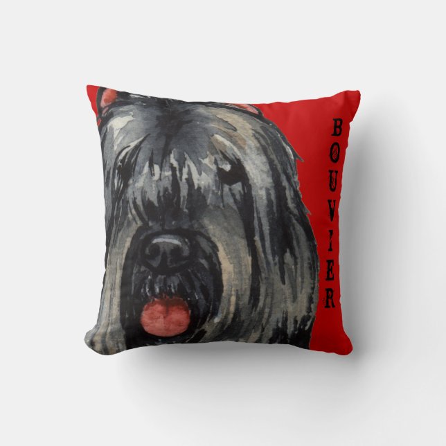 Bouvier Colour Block Cushion (Front)
