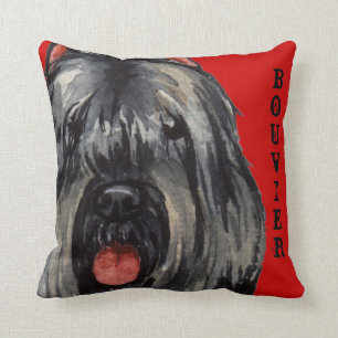 Bouvier Colour Block Cushion