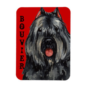 Bouvier Colour Block Magnet