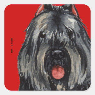 Bouvier Colour Block Square Sticker