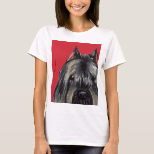 Bouvier Colour Block T-Shirt