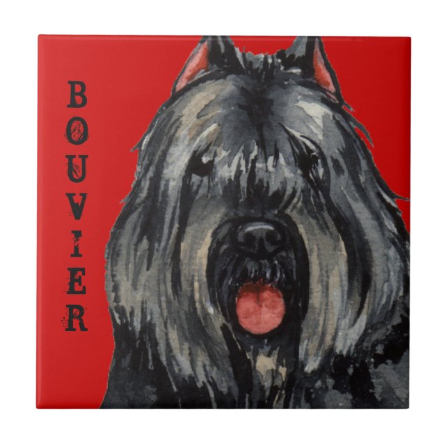 Bouvier Colour Block Tile (Front)