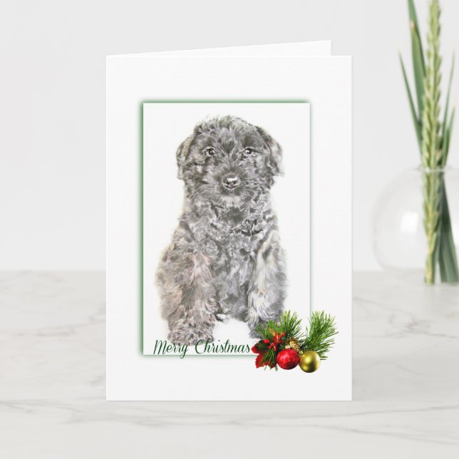 Bouvier des Flanders Card (Front)