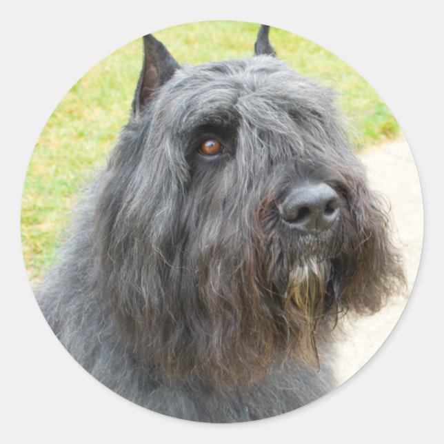Bouvier des Flandres Classic Round Sticker (Front)