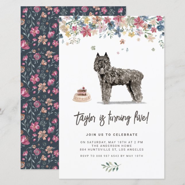  Bouvier des Flandres Dog Birthday Invitation (Front/Back)