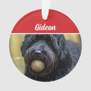 Bouvier des Flandres Dog Holiday Photo Christmas Ornament