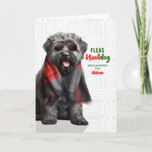 Bouvier des Flandres Funny Fleas Navidog with Name Holiday Card