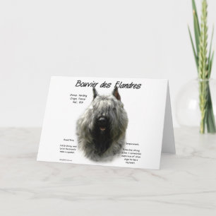 Bouvier des Flandres History Design Holiday Card