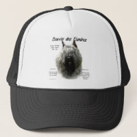 Bouvier des Flandres History Design