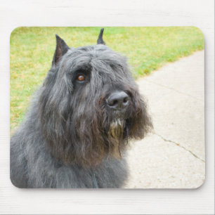 Bouvier des Flandres Mouse Mat