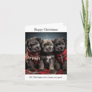 Bouvier des Flandres Puppies Christmas Card