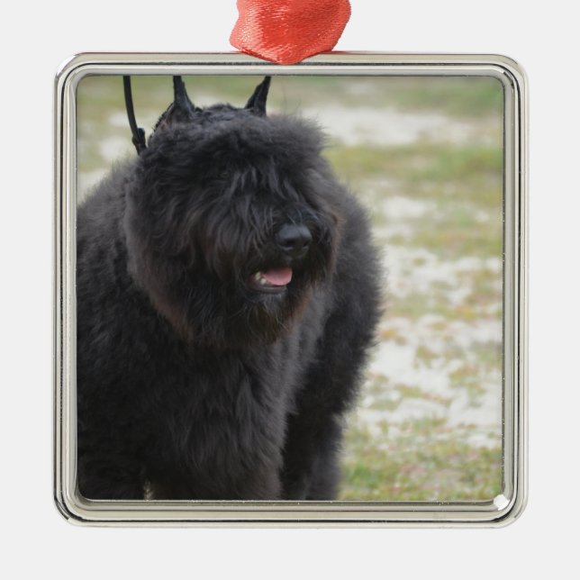 Bouviers des Flanders Metal Tree Decoration (Front)