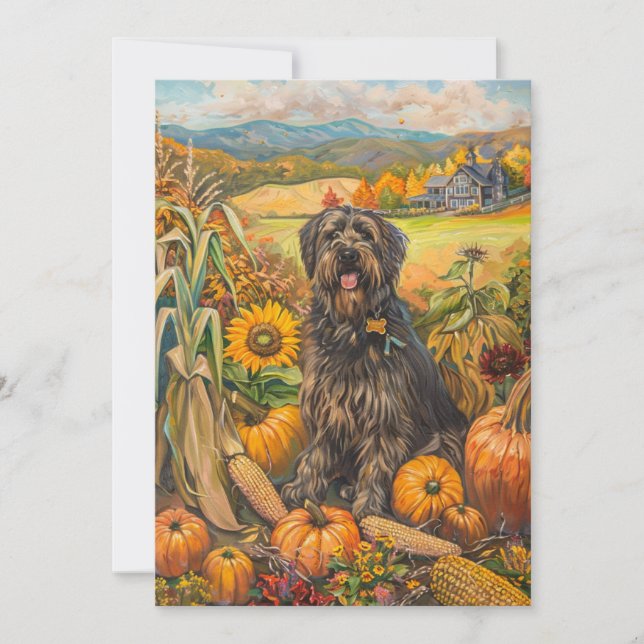 Bouviers des Flandre Autumn Harvest Thanksgiving Holiday Card (Front)