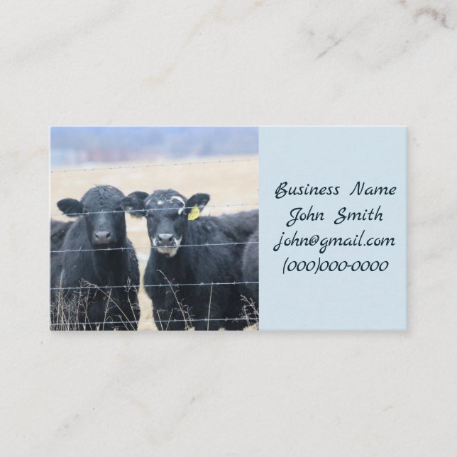 Bovine Bystanders Business Card (Front)