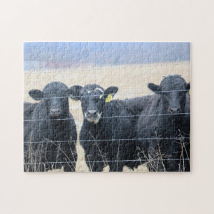 Bovine bystanders jigsaw puzzle