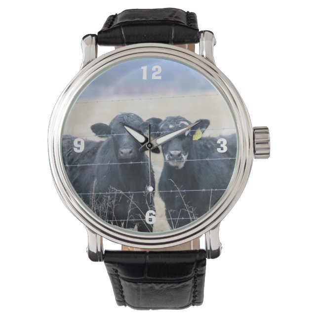 Bovine bystanders   watch (Front)