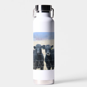 Bovine bystanders water bottle