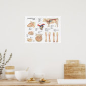 Bovine Cow Blood Vessels Anatomy Poster (Kitchen)