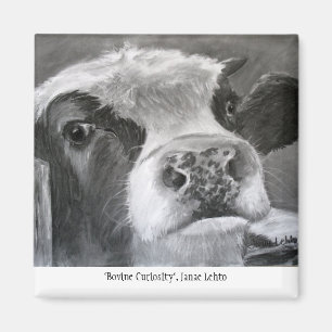 Bovine Curiosity Magnet