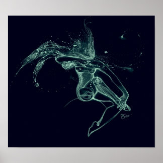 Bow and Arrow Poster