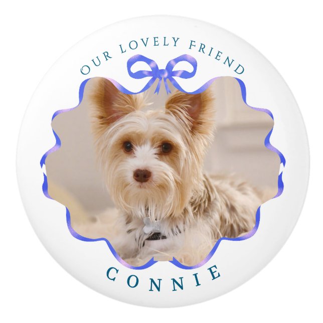 Bow Blue Ribbon Pet White Ceramic Knob (Front)