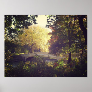 Bow Bridge Framed By Trees,Central Park, Medium Poster