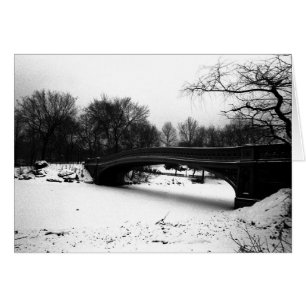 Bow Bridge Winter Central Park NYC
