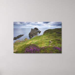 Bow Fiddle Rock, Portknockie, Scotland Canvas Print
