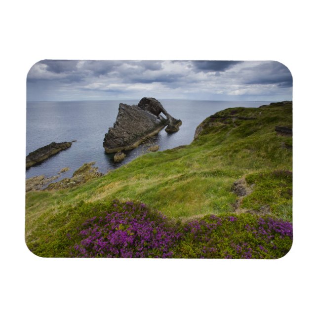 Bow Fiddle Rock, Portknockie, Scotland Magnet (Horizontal)