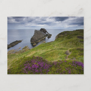 Bow Fiddle Rock, Portknockie, Scotland Postcard
