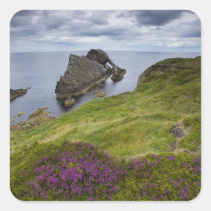 Bow Fiddle Rock, Portknockie, Scotland Square Sticker
