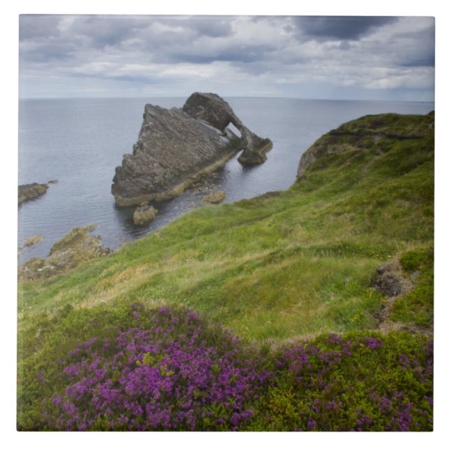 Bow Fiddle Rock, Portknockie, Scotland Tile (Front)