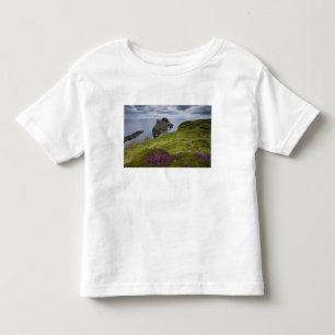 Bow Fiddle Rock, Portknockie, Scotland Toddler T-Shirt
