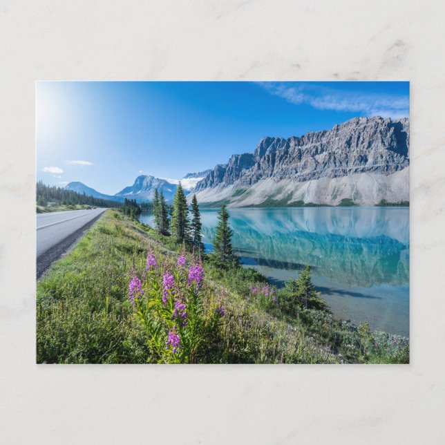 Bow Lake Banff National Park Canada Travel Postcard (Front)