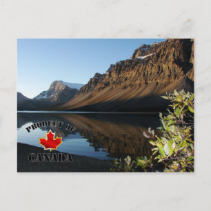 Bow Lake & Glacier Postcard