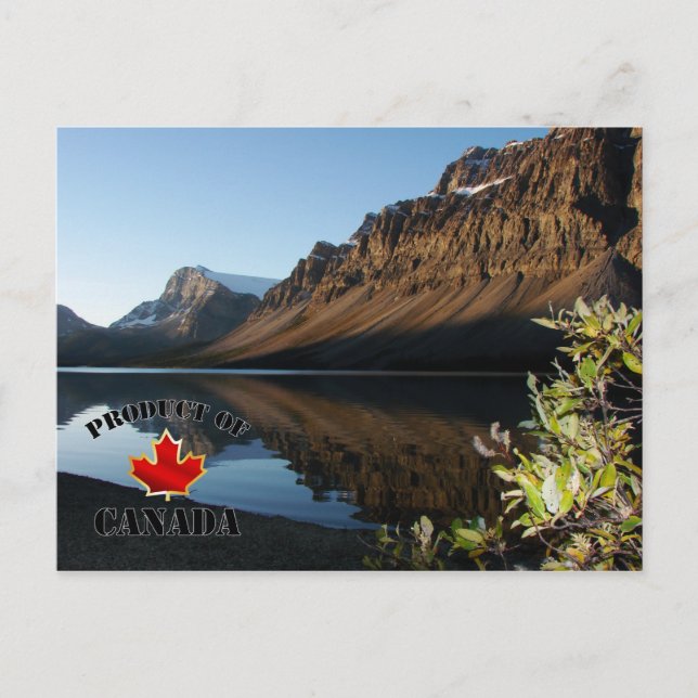 Bow Lake & Glacier Postcard (Front)