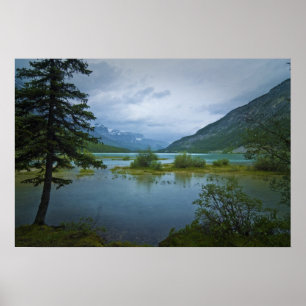 Bow Lake Morning Poster
