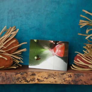 Bow Of A Red And Green Cargo Ship  Long Beach, Ca Plaque
