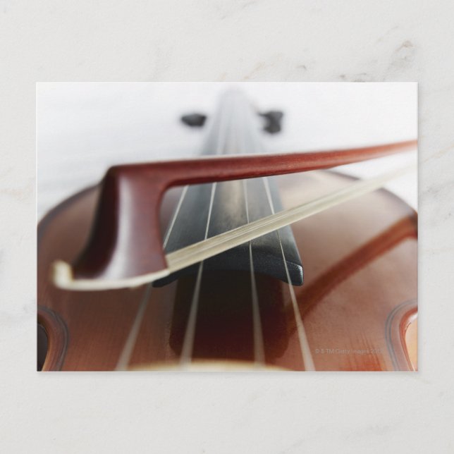 Bow on Violin Postcard (Front)