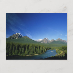 Bow River near Banff National Park in Alberta Postcard