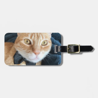 Bow tie cat luggage tag