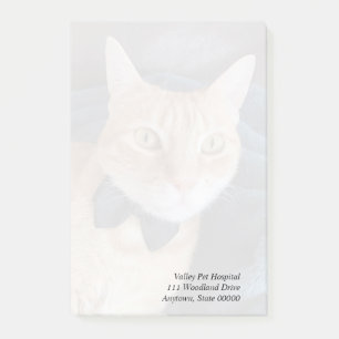 Bow tie cat post-it notes