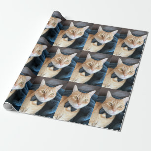 Bow tie cat wrapping paper