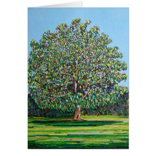Bow Tree Summer (Front)