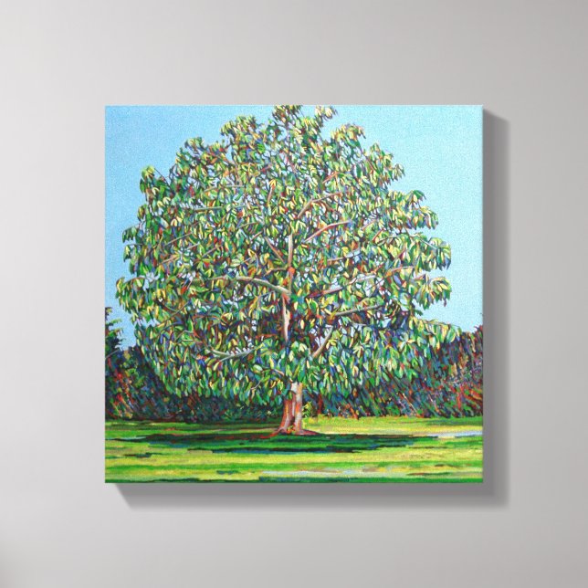 Bow Tree Summer Canvas Print (Front)